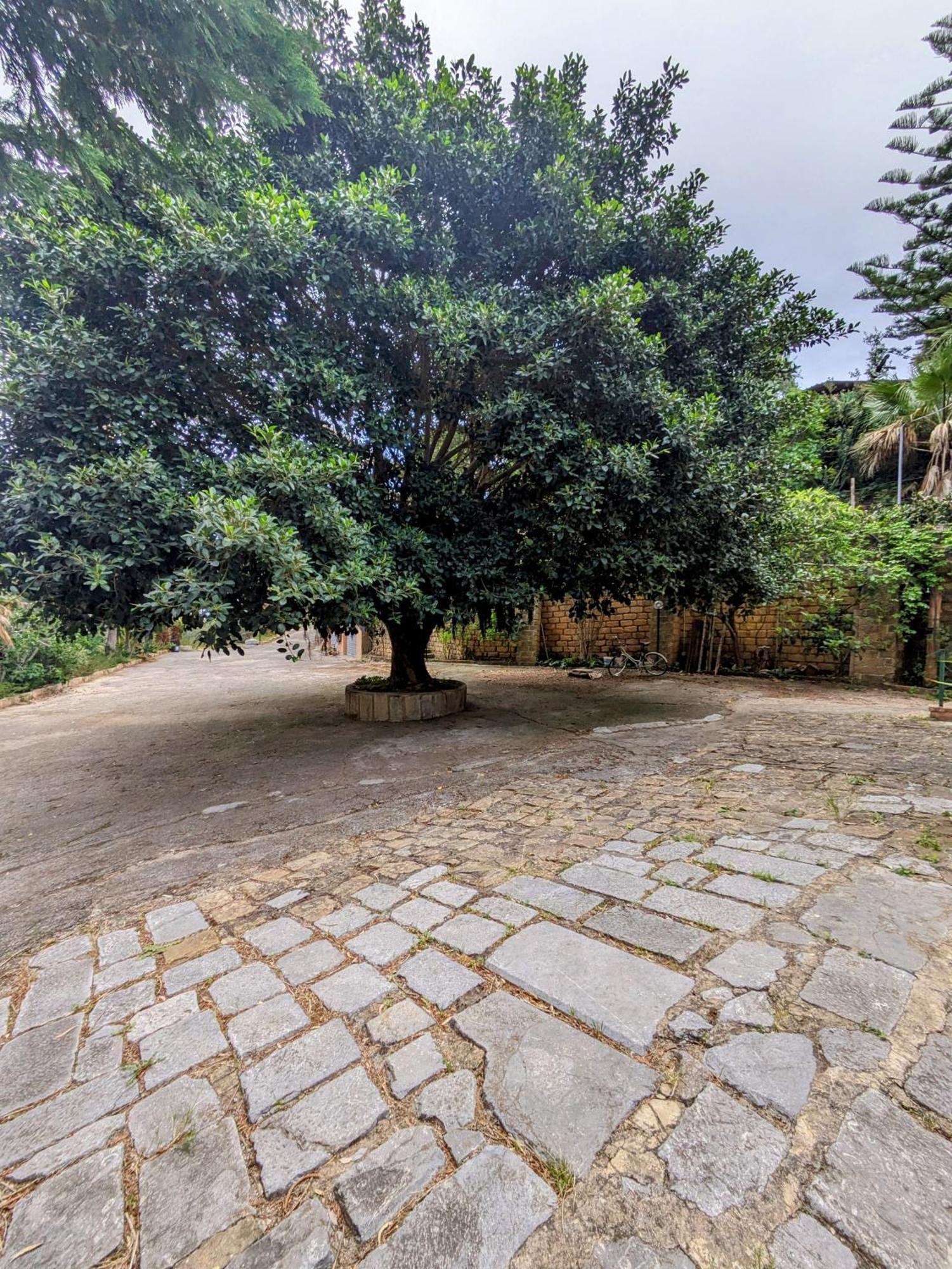 Terra Mia Apartment Cefalu Bagian luar foto